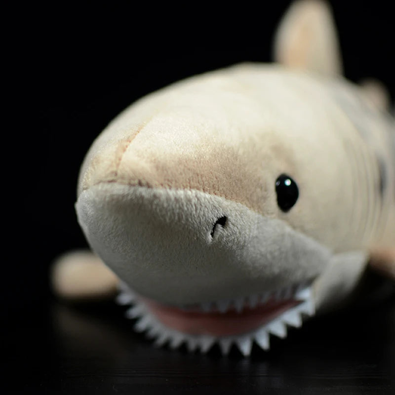 Real Life Shark Leopard Shark Stuffed Plush Toy | Kids Christmas Gift Cute Simulation Galeocerdo cuvier Soft Doll | Fish Sea Animals | Alo Trendy