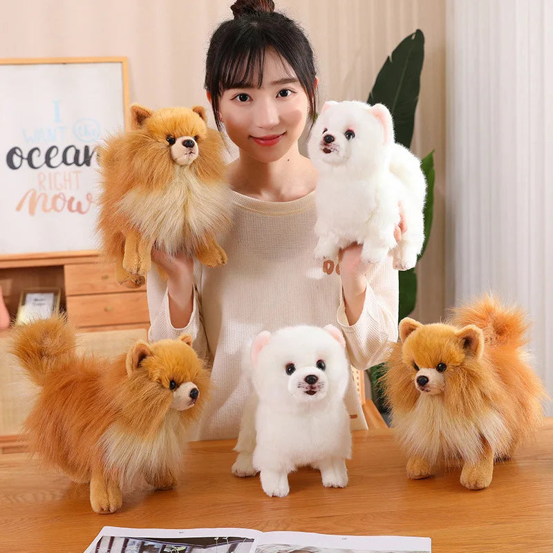 New Premium Cute Plush Pomeranian Dog | Real Life Toy Stuffed Animals | Soft Puppy Pet Doll for Children, Kids, and Girls | Lovely Gift