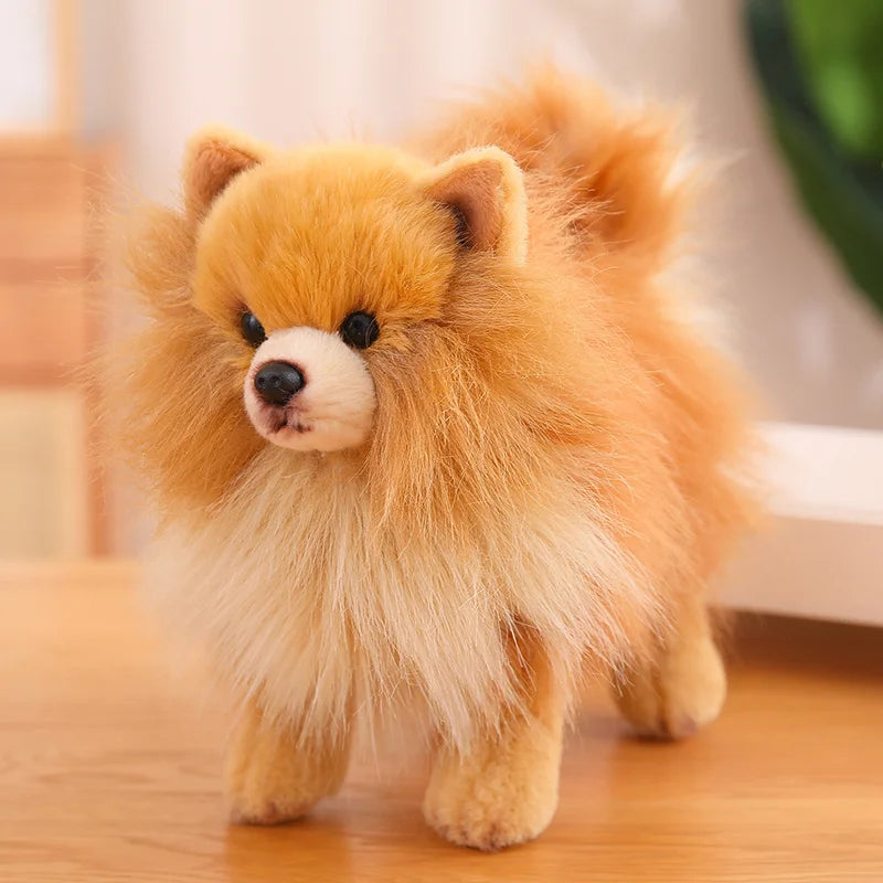 New Premium Cute Plush Pomeranian Dog | Real Life Toy Stuffed Animals | Soft Puppy Pet Doll for Children, Kids, and Girls | Lovely Gift