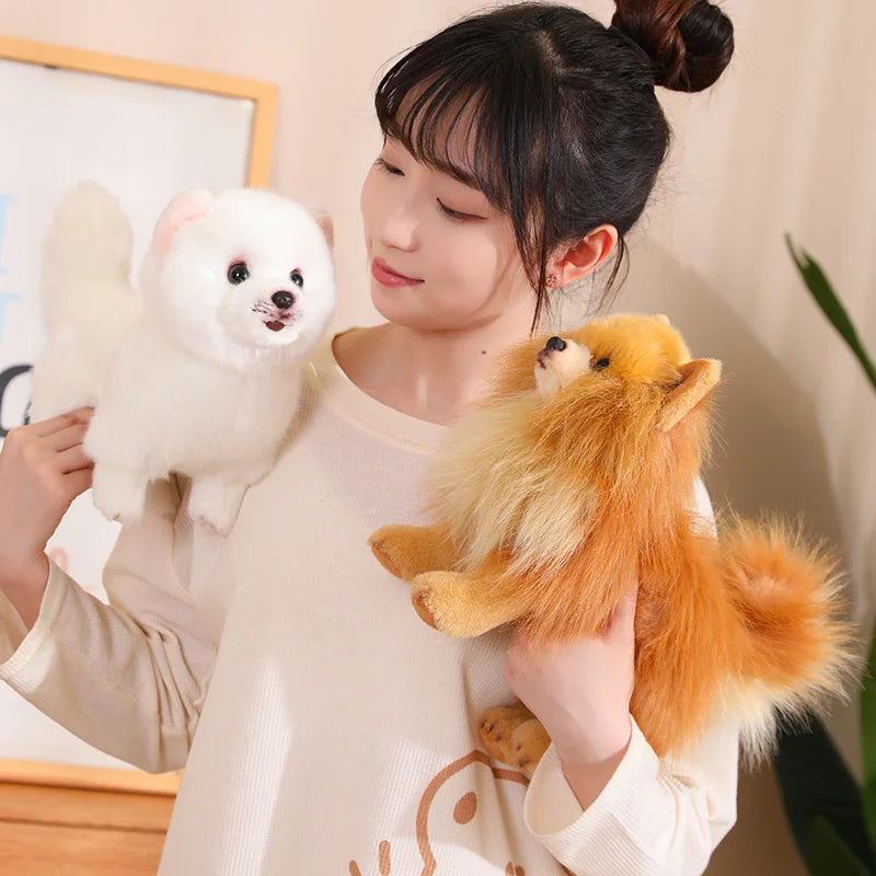 New Premium Cute Plush Pomeranian Dog | Real Life Toy Stuffed Animals | Soft Puppy Pet Doll for Children, Kids, and Girls | Lovely Gift