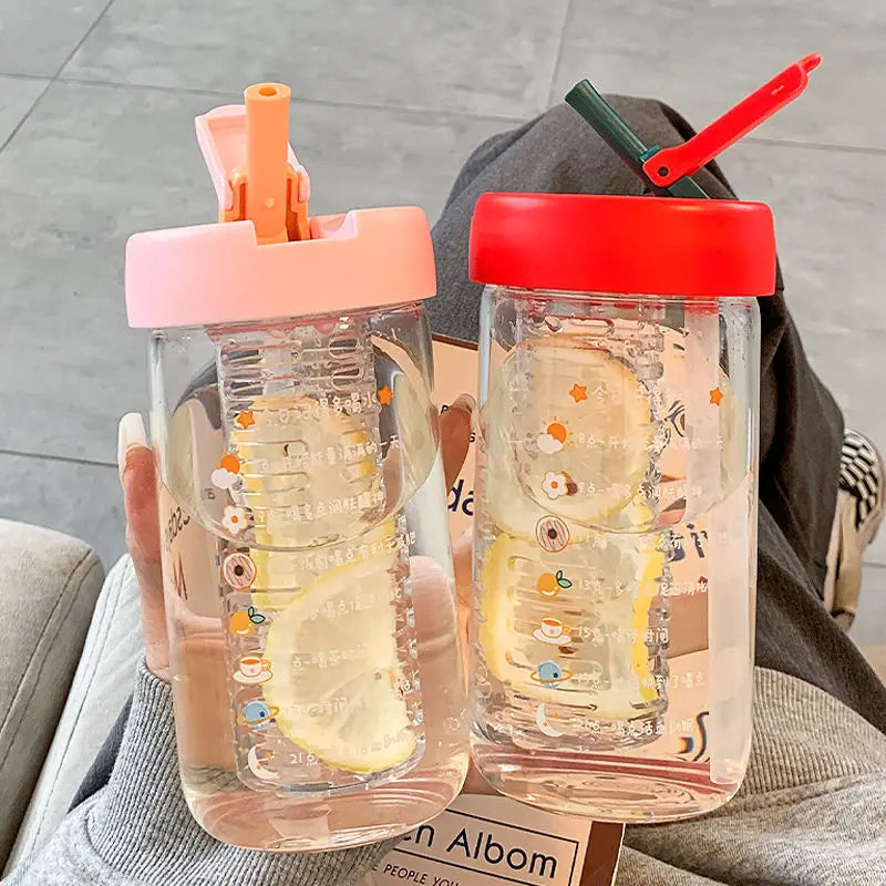 550/750ml Cute Glass Water Bottle with Tea Infuser Filter Straw | Kawaii Portable Juice Cold Drinks School Drinking Bottle Cup | Alo Trendy