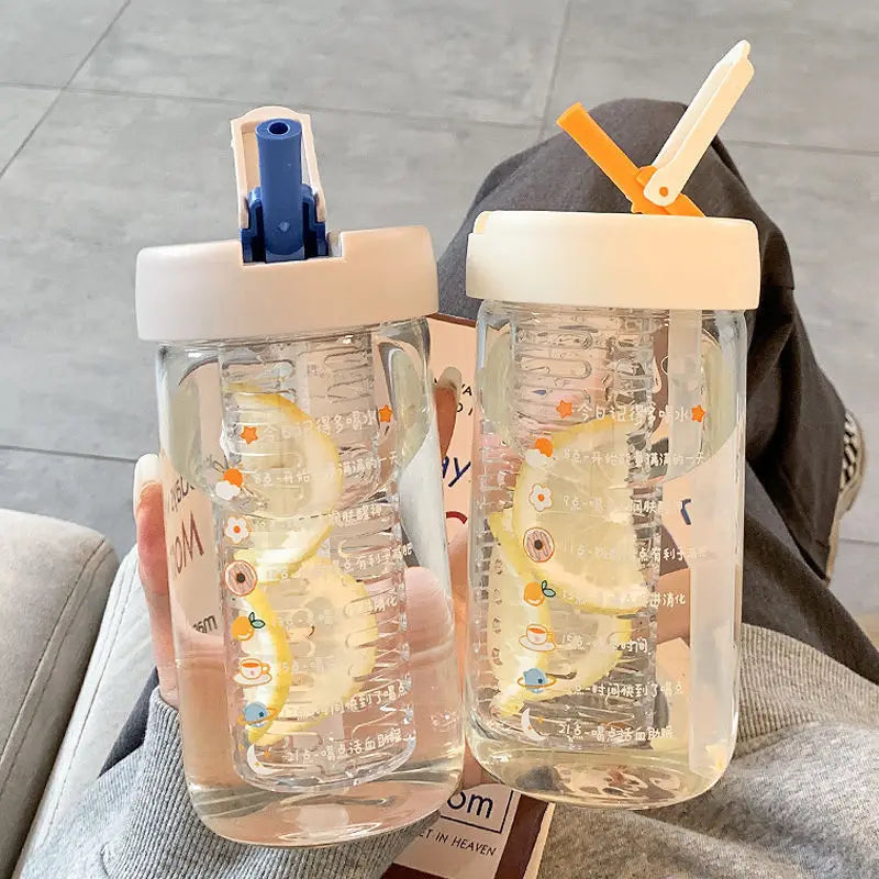 550/750ml Cute Glass Water Bottle with Tea Infuser Filter Straw | Kawaii Portable Juice Cold Drinks School Drinking Bottle Cup | Alo Trendy