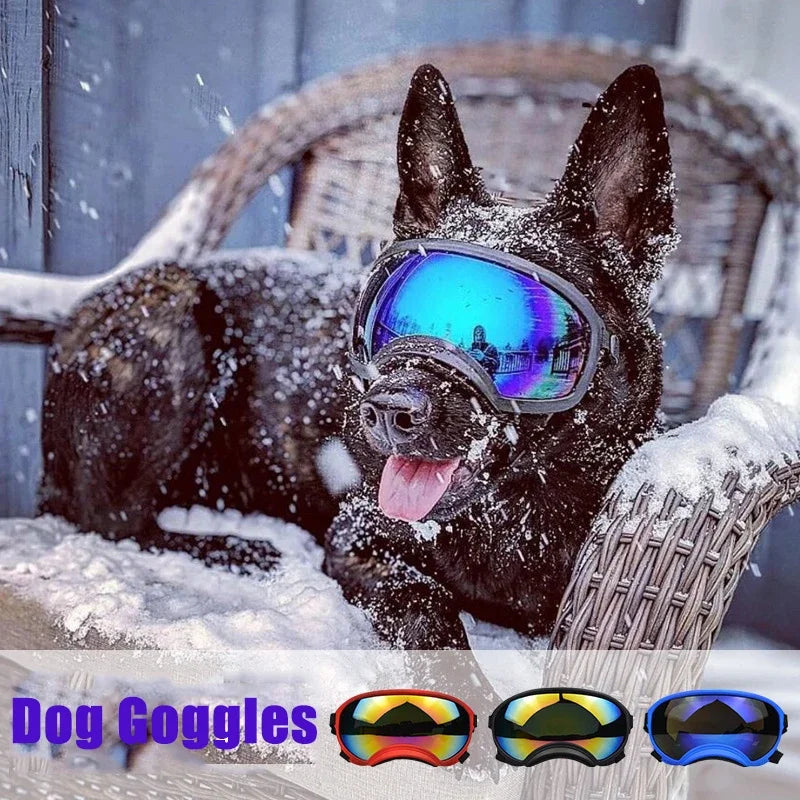 Dog Goggles Adjustable Pet Glasses | Dog Sunglasses for Small, Medium, Large Dogs & Puppies | Skiing Outdoor Eye Protection | Pet Supplies